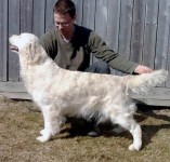 Kyon's Haley's Comet